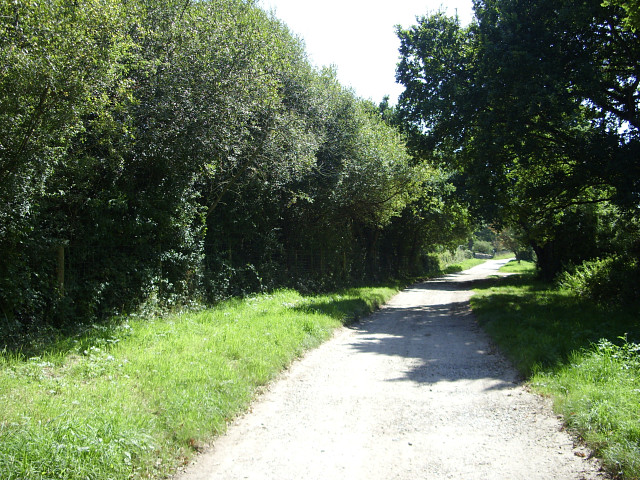 Bridleway to Martin's Farm, Whitmore
