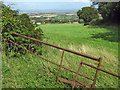 Fields near Merridge