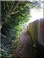 Footpath from Bridgewater Road to Berkhamsted Common