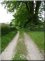 Shalbourne - Path To St Michael & All Saints