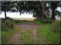 Farm track in the Balcaskie House estate