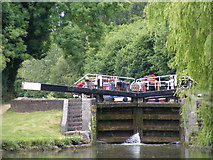 SP9808 : Grand Union Canal at Berkhamsted by David Sands