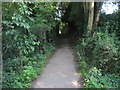 Footpath to Knole Park