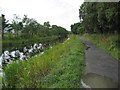 Forth and Clyde Canal at Milnquarter