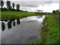 Forth and Clyde Canal near Allandale