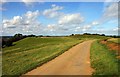 The road on top of the Burton Dassett Hills