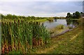 Hill Farm fishing lake near Appleford