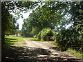 Footpath near woodland corner