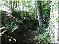 Footpath near Penglais Hill,  Aberystwyth