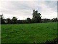 Ballymacateer Townland