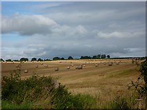 ST6116 : Straw Rolls in the landscape. by Steve Barnes