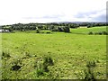 Cavan Townland