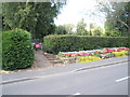 Flowerbeds outside St Mary