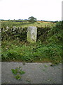 Brownhill milestone - detail