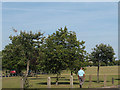 Trees on the corner of Plumstead Common