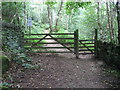 Footpath into Hay Wood near Nether Padley