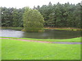 Small loch at Braidwood in South Lanarkshire.