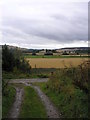 Crailing Kirk from the Dub Well Track, East Nisbet