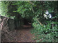 Bridleway through The Rough near Heath End