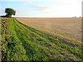 Harvested barley near Ross-on-Wye 2