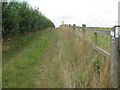 Bridleway to Longbeech Wood