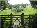 Footpath and track junction in King