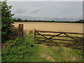 Fields from Little Rose Lane, Blunsdon