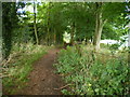 The South Staffs way, and a footpath junction