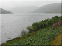 NT2523 : St Mary's Loch in the rain by M J Richardson