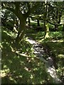 Milky stream at Lee Moor