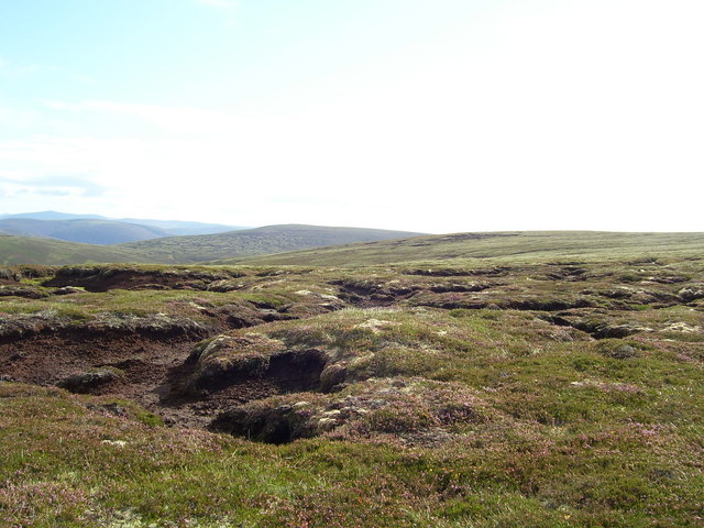 Peat Hags - near & far.