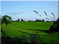 Ballynaris Townland