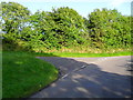 Junction of Connellystown Road and Meadow Lane