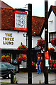 The Three Lions pub sign, 55 Meadrow