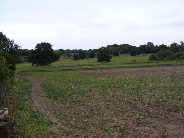 Fields of the B1121 South Entrance