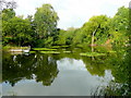 Fishing lake at Rotherwas 2