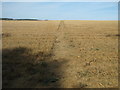 Footpath to Brookies Lodge