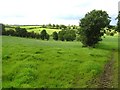 Curly Townland