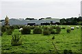 T0451 : Sheep grazing beside factory buildings at Broadford Bridge by Simon Mortimer