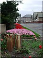 Flower beds, Gibson Street, Newbiggin by the Sea