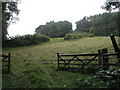 Field just off Lydebrook Dingle