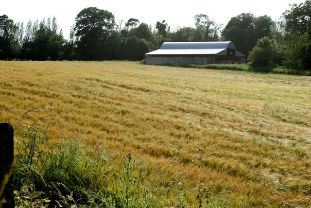 Barn and barley field at Scarawalsh Bridge