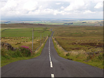 NY7359 : The road across Plenmeller Common by Andy Parrett