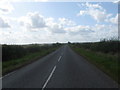 Minor road near Blackadder Mains