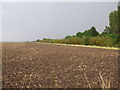 Fields alongside the Railway