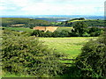 View to Gloucester and the Cotswolds