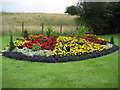 Floral Display in Croy