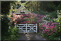 Garden Near Bonchurch