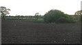 Small pond in a ploughed field