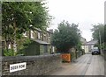 Seed Row - Bierley Lane